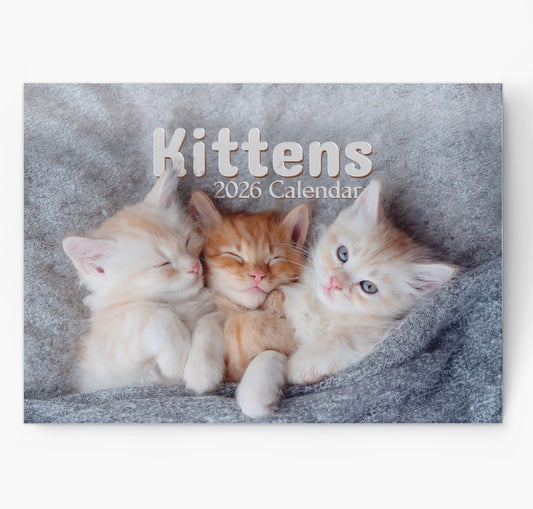2026 Kittens Cats Calendar Wall Monthly Planner Family Home Organiser
