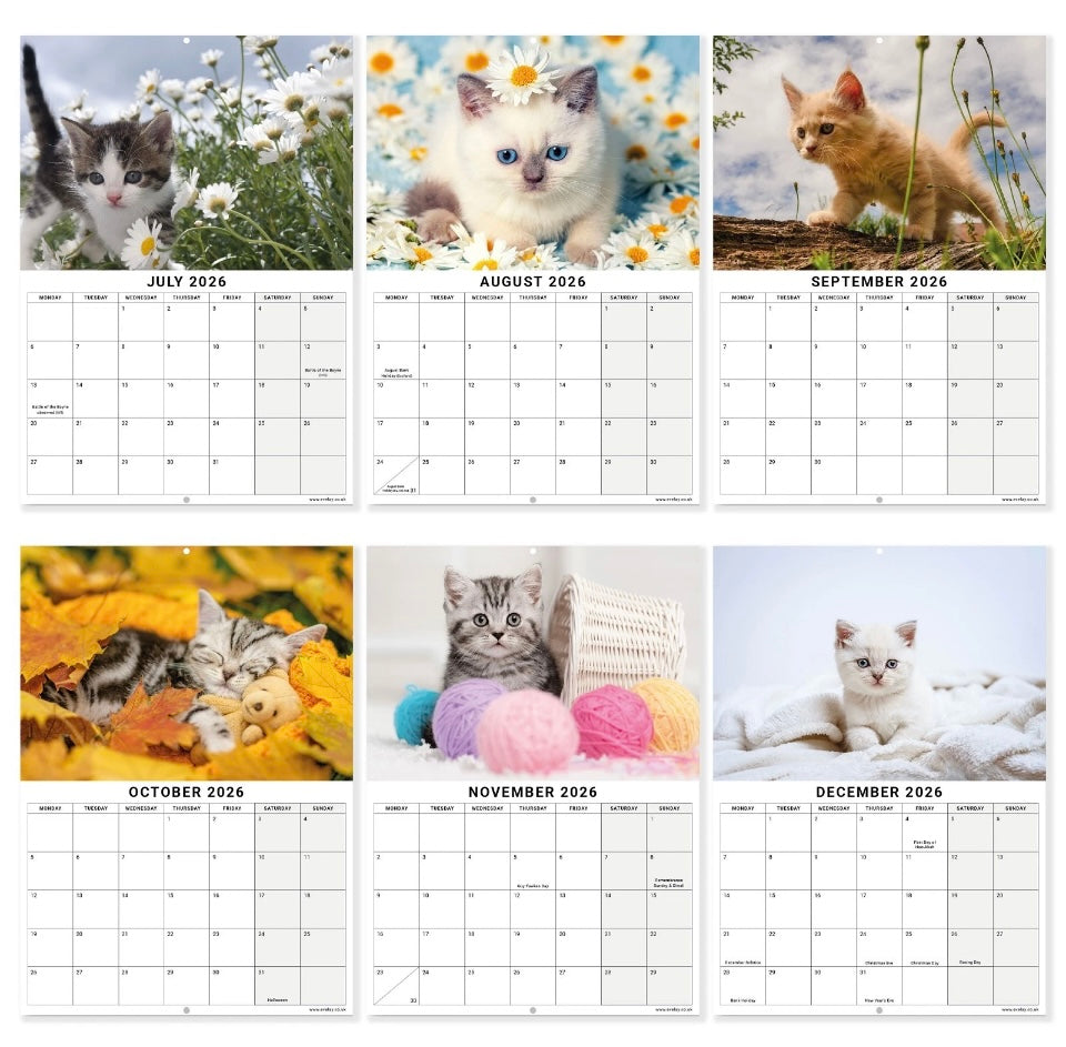 2026 Kittens Cats Calendar Wall Monthly Planner Family Home Organiser