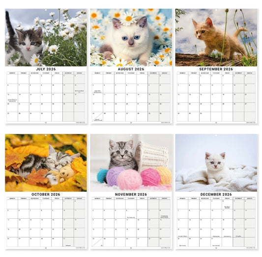 2026 Kittens Cats Calendar Wall Monthly Planner Family Home Organiser