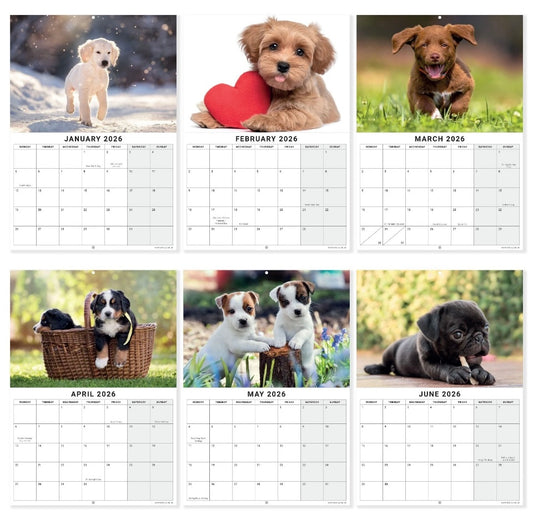 2026 Puppies Dogs Calendar Wall Monthly Planner Family Home Organiser