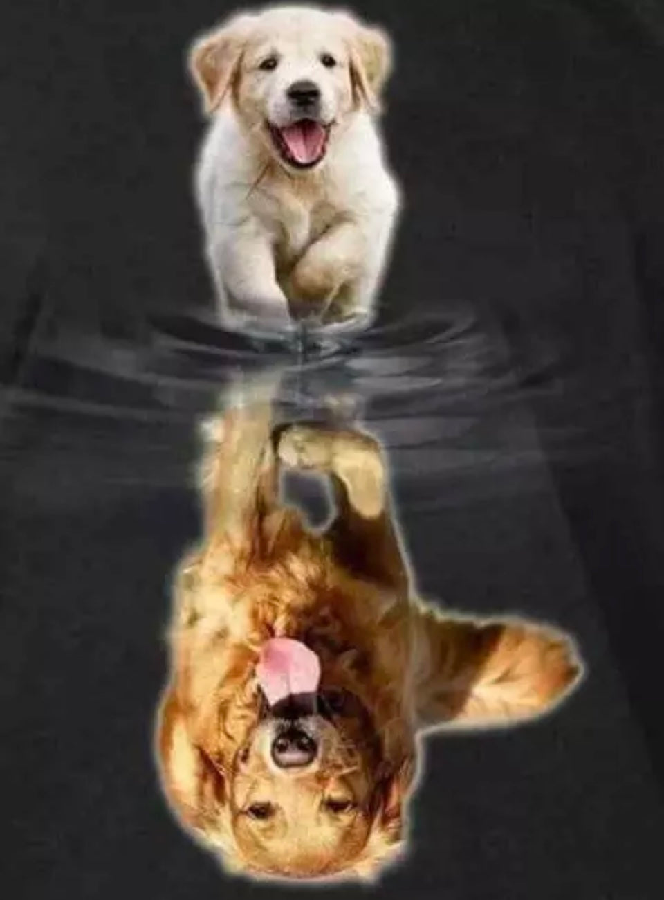 5D DIY Golden Retriever Puppy Reflection Diamond Art Kit 30cm x 40cm