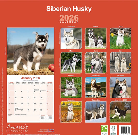 Siberian Husky 2026 Calendar | Dog Breed