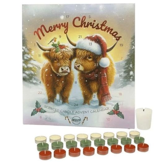 Airpure Scented Candle Advent Calendar Highland Cow - 23 Tealights & 1 Votive