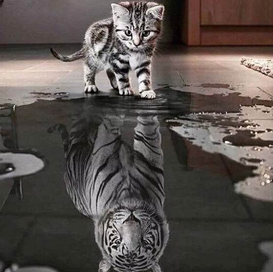 5D Diamond Painting Drill Embroidery Cross Stitch Art Craft Tools Cat and Tiger 30cm x 30cm