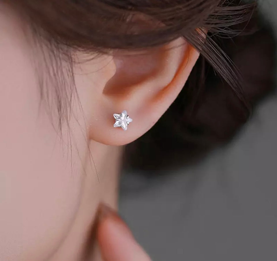Silver Crystal Star Ear Stud Earrings