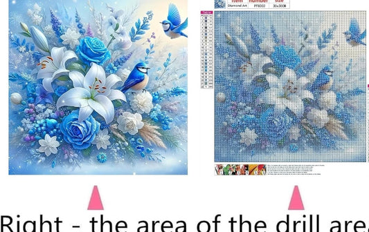 VARHHUXHA 5D Diamond Art Painting Kits for Adults, Birds