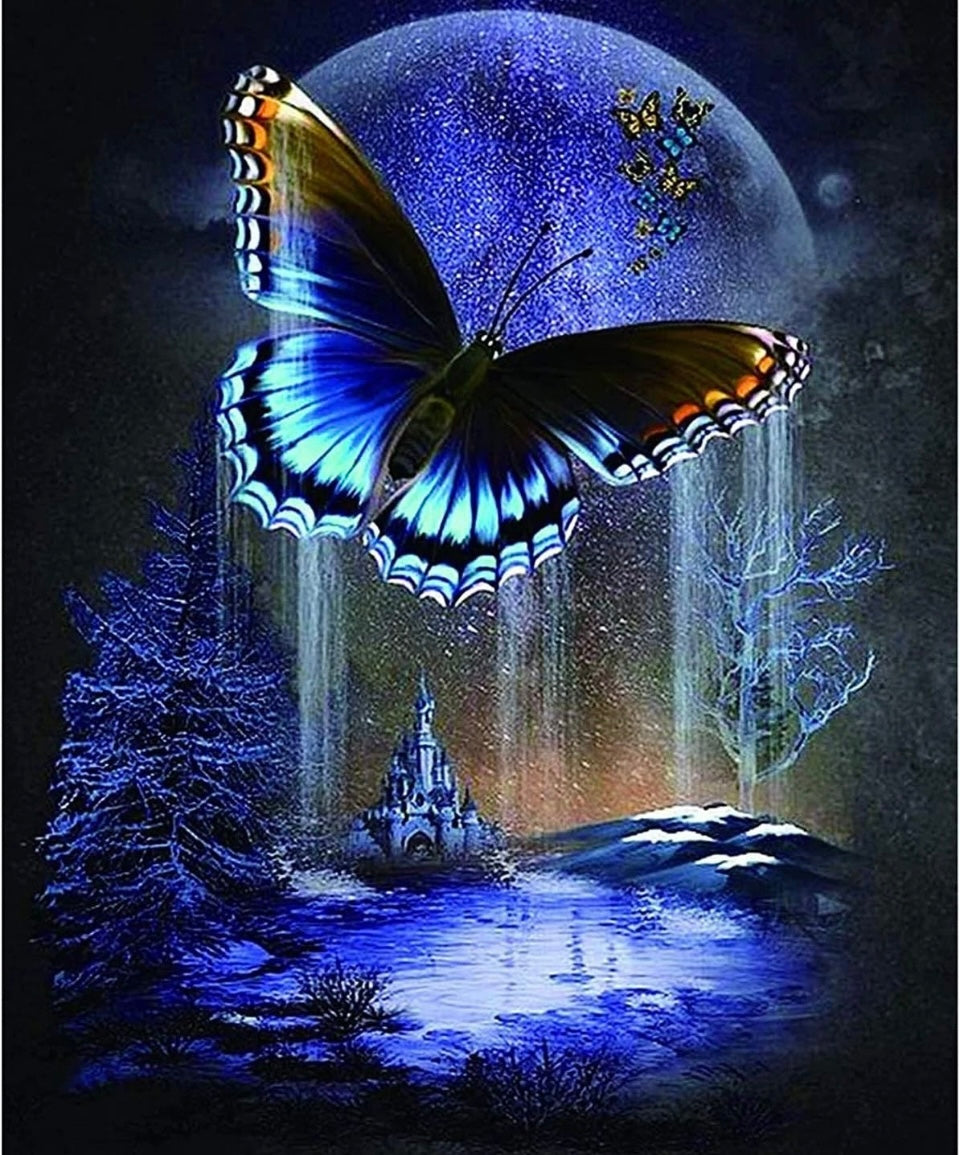 DIY 5D Diamond Art Painting Kits Full Drill, butterfly moon